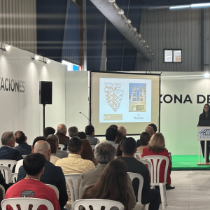 Programa FICON